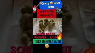 Scarboro #Legal Cannabis Reviews ~ Gorilla Glue #4 + Sour Maui + Duke Nukem by Green Society #420