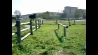 The South Ural Alliance [Parkour, Челяб. обл., Сулея, 2007].wmv