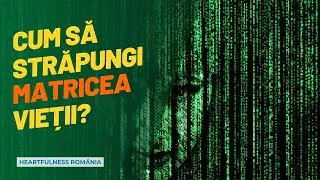 Cum să străpungi matricea vieții? Un dialog cu Daaji