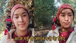 आज गई जंगल की ओर#pahadi lifestyle@chandni pharswan 
