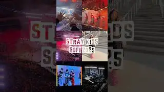 Experiencing Stray Kids @ SoFi D2 2025 #straykids #skz #kpopconcert #kpoplife #fangirllife
