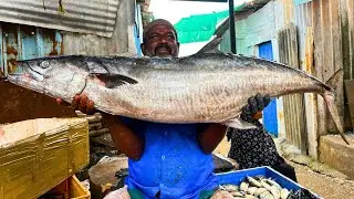 KASIMEDU 🔥 MR CHANDRAN | MASSIVE FRESH SEER FISH CUTTING VIDEO | FF CUTTING 🔪