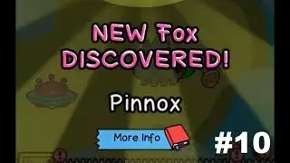 Fox Evolution Android Gameplay #10 - New BIG FOX !!!