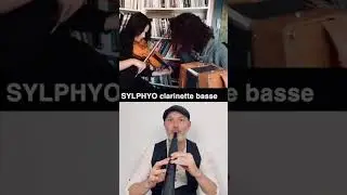 Flatworld (Andy Cutting) avec Elsa et Nao