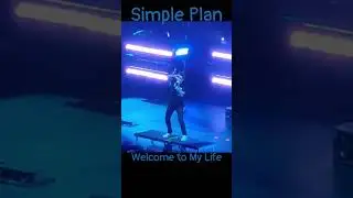 Simple Plan - Welcome to My Life III