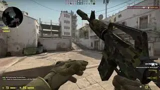 CSGO 15 year veteran coin