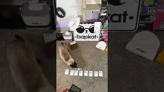 Cards Against Humanity