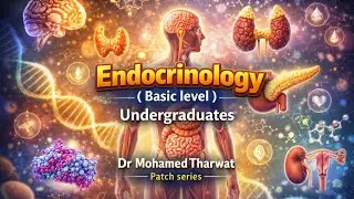 Endocrine physiology - Thyroid gland part 2
