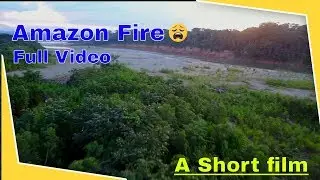 AMAZON FOREST FIRE | RAINFOREST | AMAZON: A SHORT FILM | AMAZON FOREST INPORTANCE | CINEMATIC SHOTS
