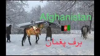 برف باری در پغمان #afghanistan #travel #viral #snow #shorts #youtubeshorts #foryou #love @MrBeast
