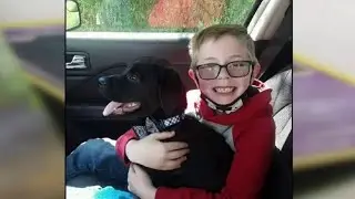 8-year-old boy sells his Pokemon cards to help pay for dog's surgery