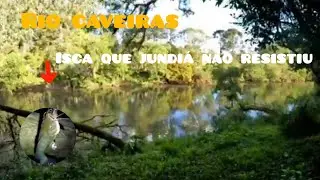 Pesca de Jundi&aacute; no Rio Caveiras: A ISCA SECRETA que NENHUM BAGRE RESISTE!