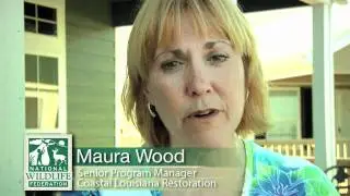National Wildlife Federation - Gulf Coast Restoration