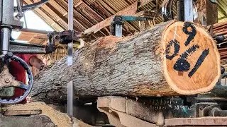 Amazing! This is a type of teak wood that has a beautiful, dense texture