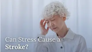 Can Stress Cause a Stroke?