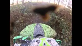 offroad/forest atving