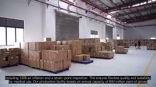 The Best Surgical Gloves Factory in China