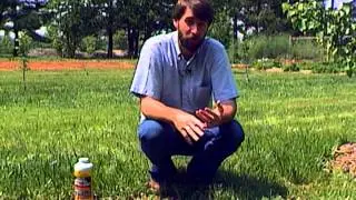 Controlling Wildlife Pests