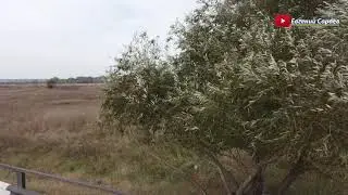 Падение Дрона (09.10.2021) ШОК КАТАСТРОФА