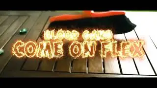 BlooD GanG - CoMe oN FleX