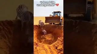 &ldquo;I used the machine to save lives.&rdquo;