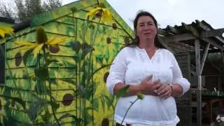 EAT WEST 2013: BALLYBANE COMMUNITY ORGANIC GARDEN