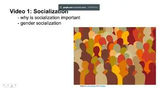 Week 8 video 1 intro to socialization