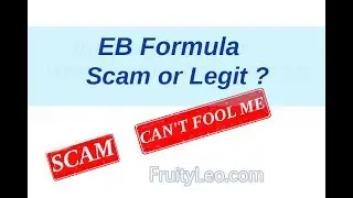 EB Formula Review - 🚫  Fake Ebay System  🚫