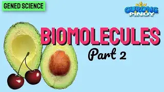 Biomolecules (Part 2) I Reviewer for LET Gened Science I Biology