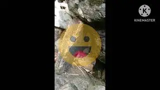part 2 Ng mosang gala