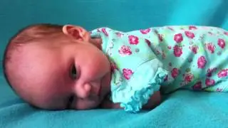 Умка на животике