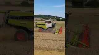 💚2x NEW Claas Lexion on one field❤️ #claas #claaslexion #harvest #moisson #agriculture #agricultura