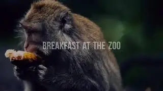 Hershey's ZooAmerica at the 2018 Keystone Veterinary Conference