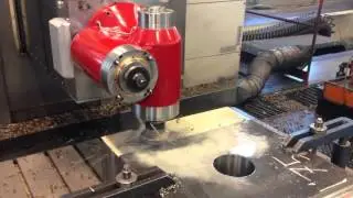 TESTA BIMANDRINO VT2S