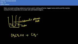 15. Esters are sweet-smelling substances and are used in making perfumes. Suggest some activity and