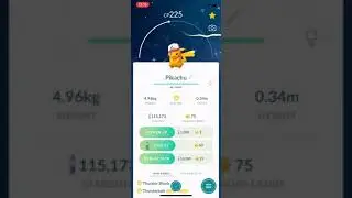 Shiny Ash Hat Pikachu