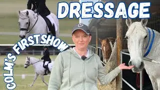 ✨Colm's first dressage comp ~ prep intro dressage test