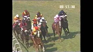 THE RACE 082 1000 G