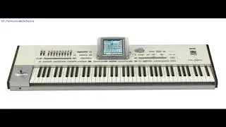 Korg PA2XPro (2007)