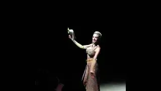 Elisa Cussadie - Parrot act / Papag&aacute;jsz&aacute;m - 15. Budapest Circus Festival - 2024 - Silver / Ez&uuml;st d&iacute;j