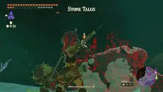 Treasure Chest, Sherfin's Lavafalls | The Legend of Zelda: Tears of the Kingdom (NS)