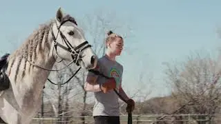 The Life of a Horse