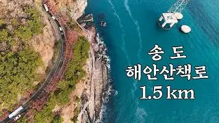 Songdo Coastal Trail | A coastal walk connecting Songdo Beach and Amnam Park.