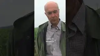 🍷 Is Roman&eacute;e-Conti organic and biodynamic ? 💫