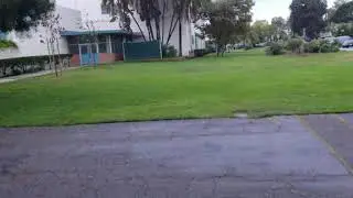 Fetch Skills 10/13/18