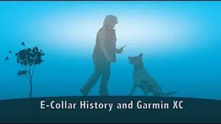 E Collar History and Garmin XC
