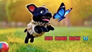 Cute Black Labrador Puppy vs Butterfly 🦋 | You&rsquo;ll Smile at the End 🐶