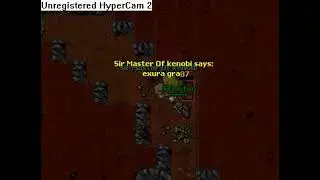 tibia old school beholders