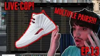 JORDAN 12 TWIST NSB LIVE COP! - How To Sneaker Bot Ep.13
