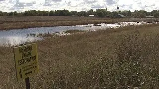 Farmers and Rural Communities Unite In Battling Nitrate Pollution